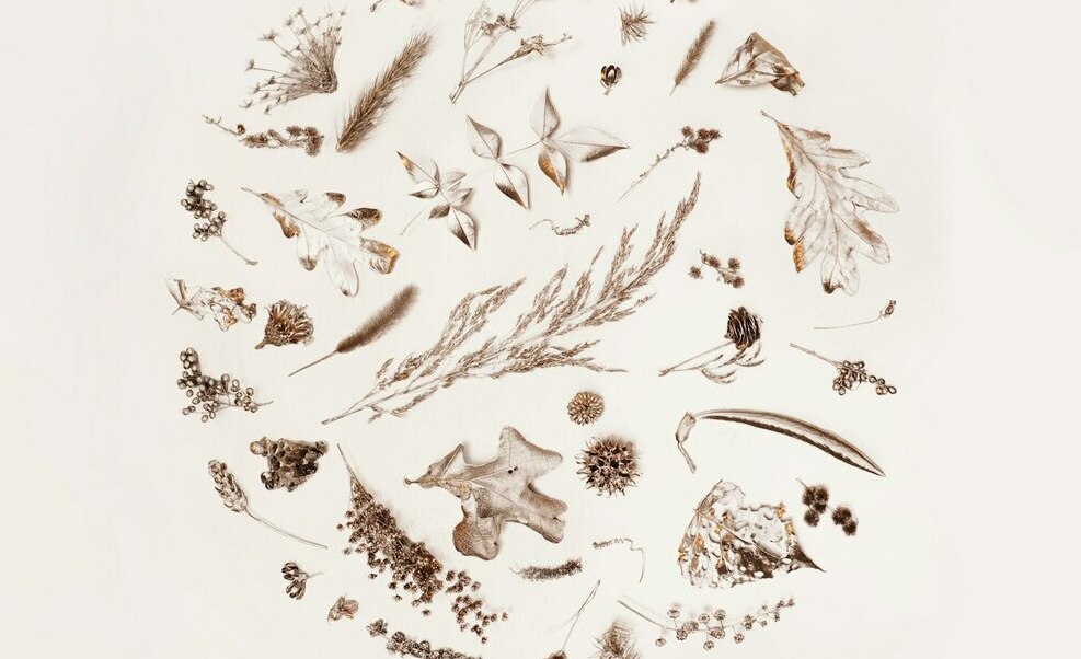 Психопрофилактическая подготовка к родам HypnoHealth"